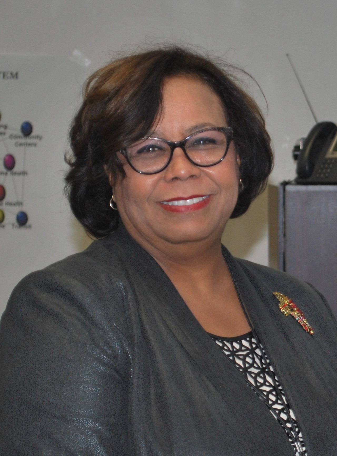 Kane County Health Department Executive Director Barbara Jeffers, who is leaving office December 1.