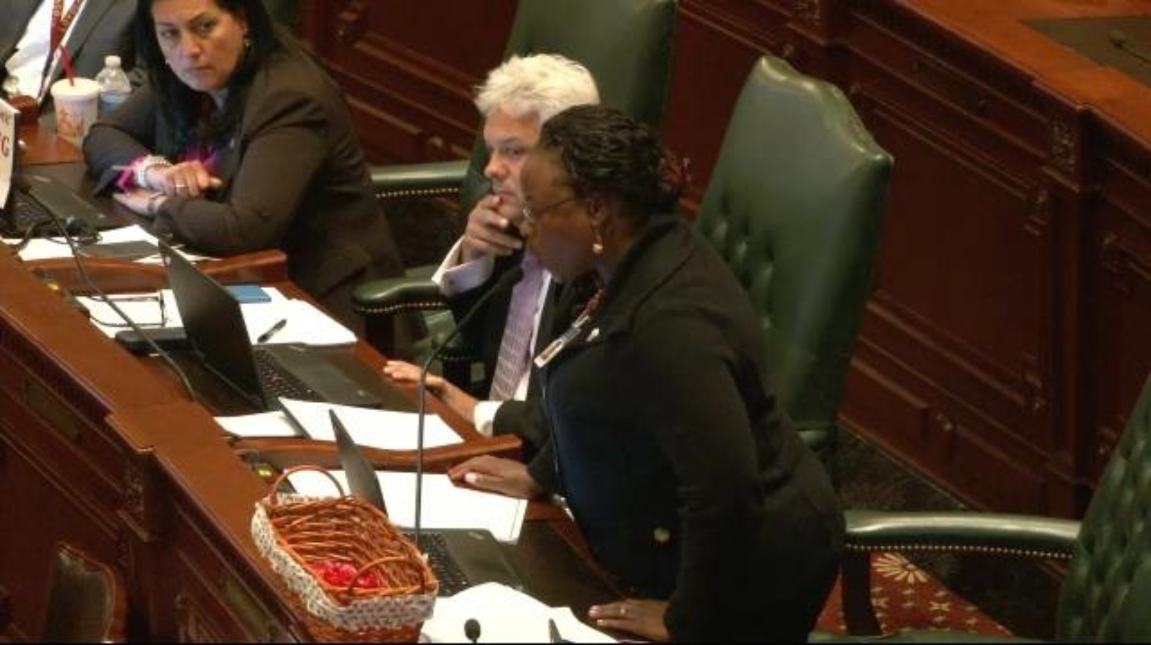 Illinois state Rep. Carol Ammons, D-Urbana, introduced HB 3447 to which McHenry County officials and others disapprove of.