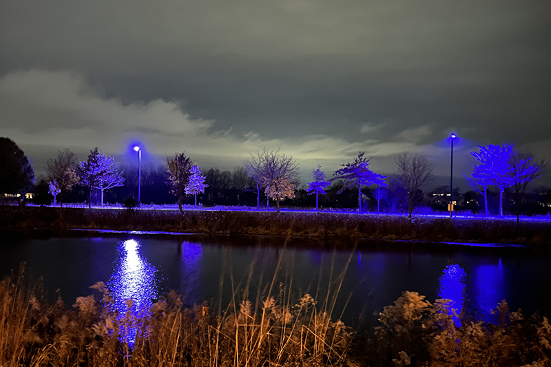 View of the purple-ish street lights sparking questions in Huntley.
