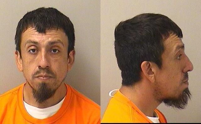 Carlos Diaz was taken into custody by the Kane County Sheriff's Office after he fled from a traffic stop in Sycamore on July 6